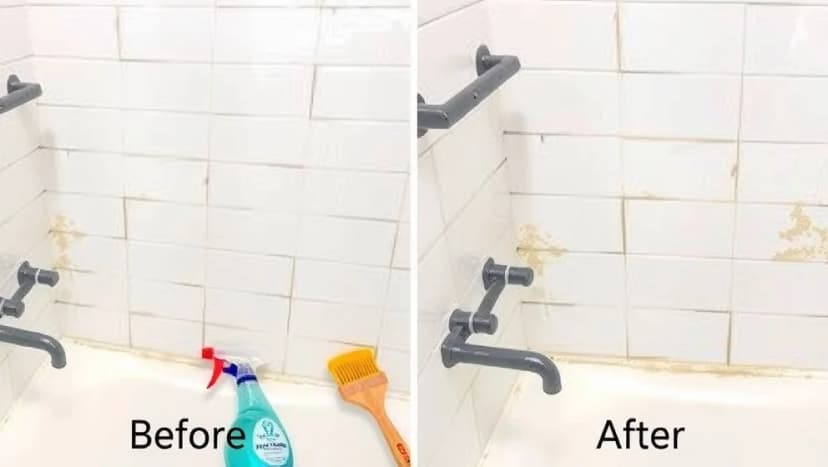 Fogrengöring bäst i test